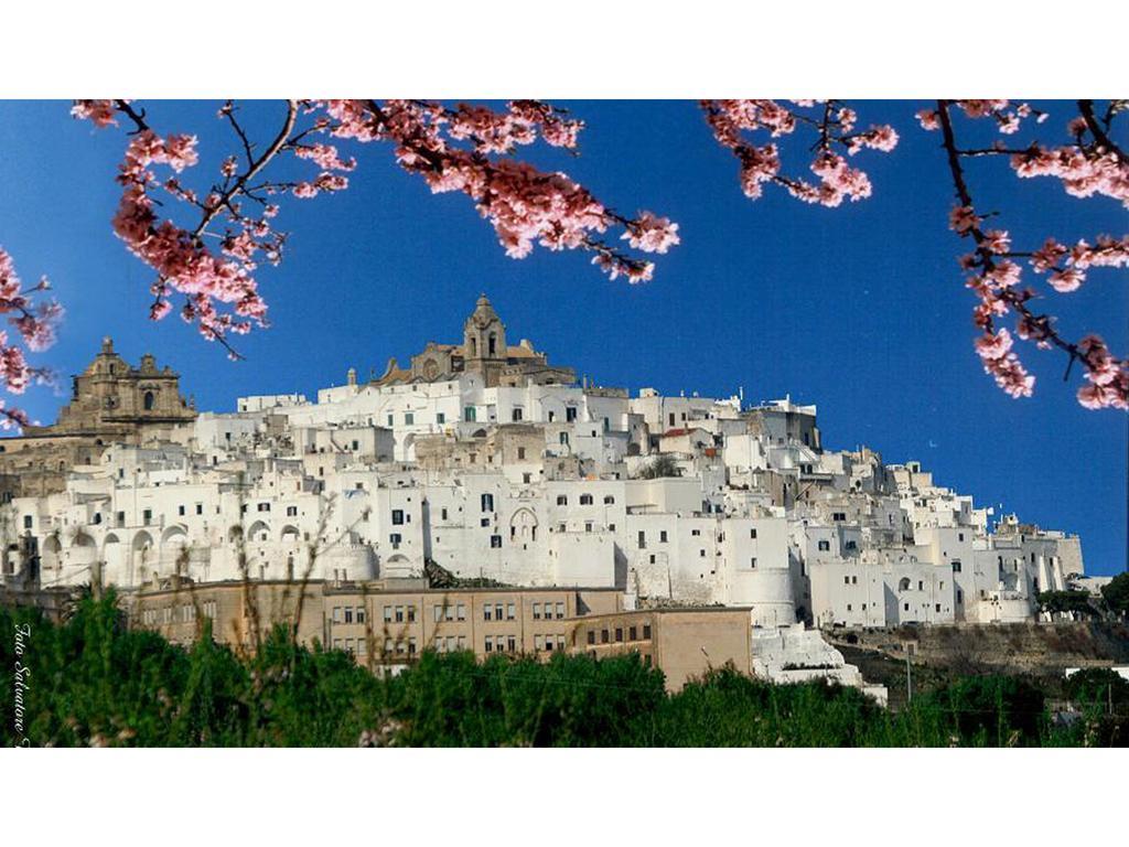 Casa Farella B&B In Suites Apartments Altamura X Matera Exterior photo